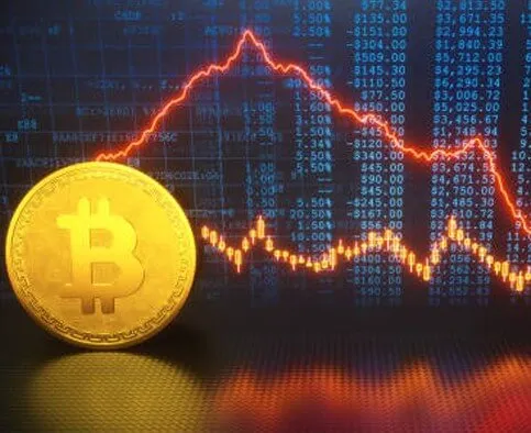 Voryxa Yieldora - Take advantage of the chance to improve your trading tactics with Voryxa Yieldora.